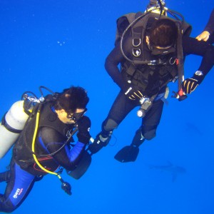 Srark Adventure at PHNTOM DIVERS