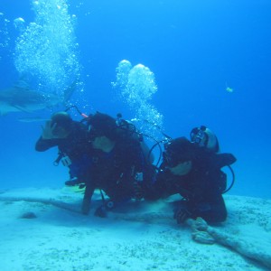 Srark Adventure at PHNTOM DIVERS