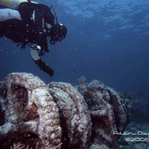 Winch and Diver in Key Largo