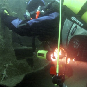 Diver examing a hole in the James Eagan Layne