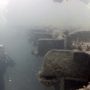 Looking along the wreck of the James Eagan Layne