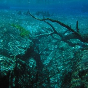 Smaller Fissure at Cypress Springs