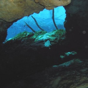 Cypress Spring Cavern