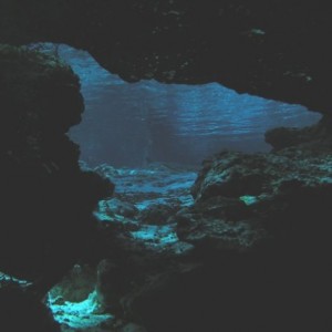 Ginnie Springs Cavern