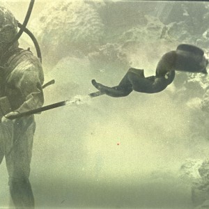 Spearfishing Diver in the 1920's