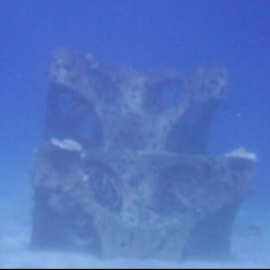 Tamar Artificial Reef