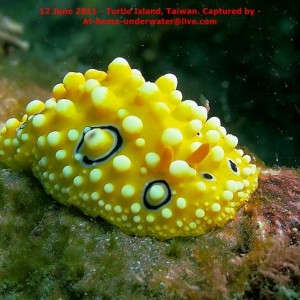 N/E coast - Taiwan