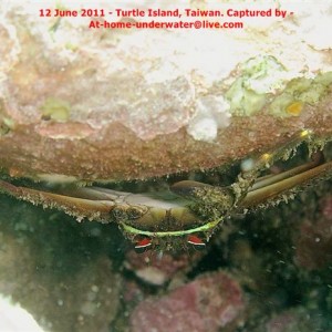 N/E coast - Taiwan