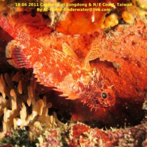N/E coast - Taiwan