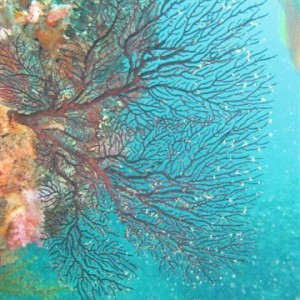N/E coast Taiwan