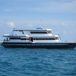 The MV Stingray