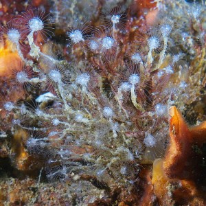 stuff_2011_06_40
