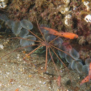 stuff_2011_06_41