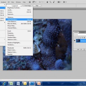 3. Basic Edit using Adobe Photoshop CS4