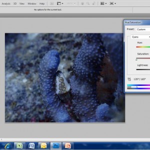6. Basic Edit using Adobe Photoshop CS4
