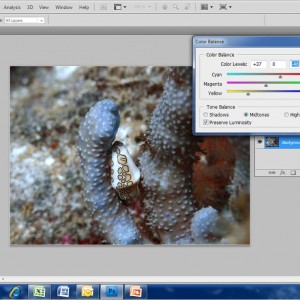 9. Basic Edit using Adobe Photoshop CS4