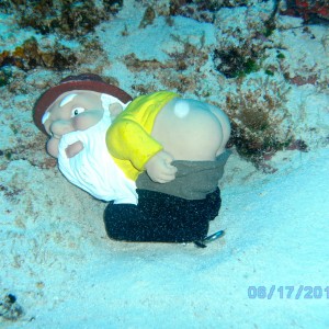 Moonie does Cozumel 2011