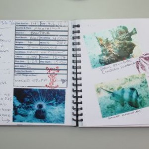 Log Book samples