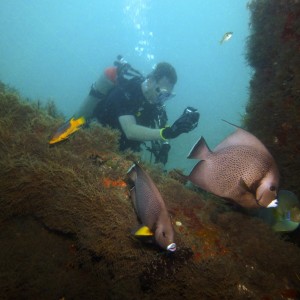 Diver and Fish