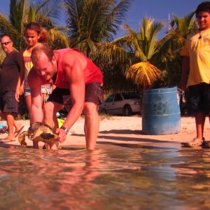 Turtles rescued from a restaurant in the Jonesville French Cay area on Augu