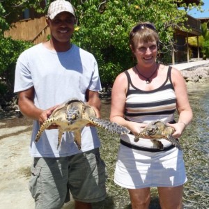 Turtles rescued from a restaurant in the Jonesville French Cay area on Augu