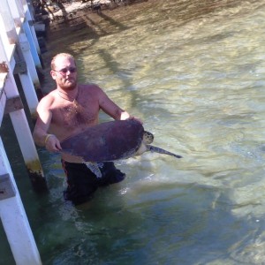 Turtles rescued from a restaurant in the Jonesville French Cay area on Augu