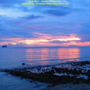 Anilao Sept 2011