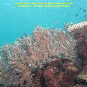 GBR Oct 2011