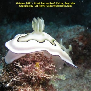 GBR Oct 2011