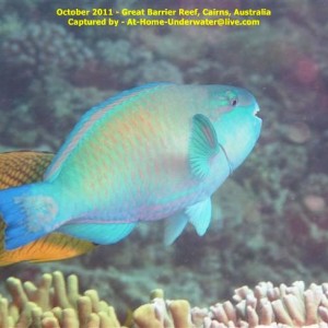 GBR Oct 2011