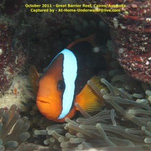 GBR Oct 2011