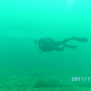 New_Years_Eve_Day_Dive_WET_0012