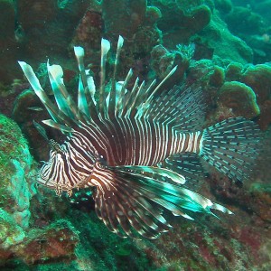 Curacao 2012