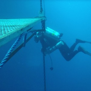 Robert: Open Water portion