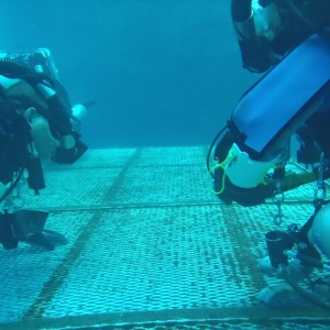 Working off of the platform: Open Water portion