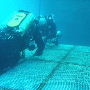 Drills on the platform: Open Water portion