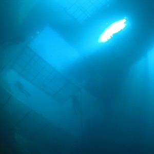 The view from below: Don Six's pics
