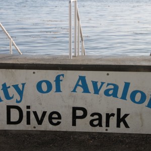 Catalina Dive Park