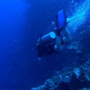 Neil_diver_down