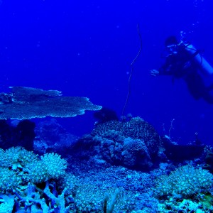 Oli_with Table_Coral_Nasuluan