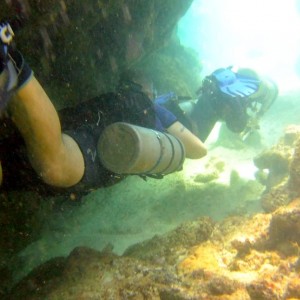 Diving in Carriacou, Grenada W.I with Deefer Diving