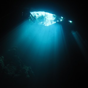 the Pit cenote with DIVING CENOTES