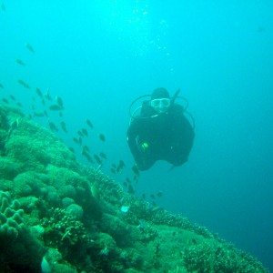 Diving at Nusa Penida, Bali, Indonesia