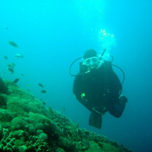 Diving at Nusa Penida, Bali, Indonesia