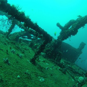 Shipwreck topside