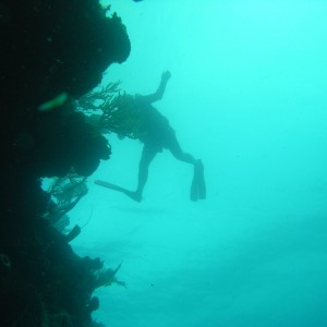 roitan sept 2011 2nd dive 50 ft max coco view