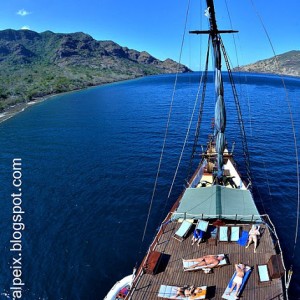 KOMODO_2012_88_copia