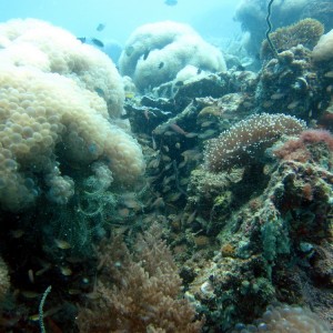 Koh Lipe Satun Thailand