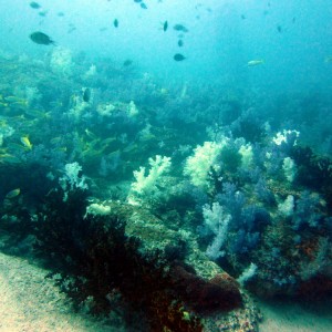 Koh Lipe Satun Thailand