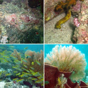 Koh Lipe Satun Thailand